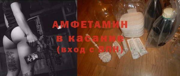 индика Алзамай
