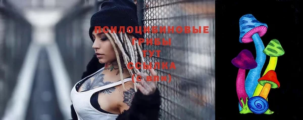 гидропоника Абдулино