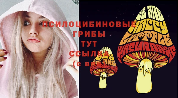 гидропоника Абаза