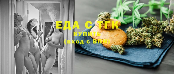 индика Алзамай
