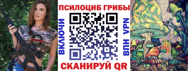 закладка  Кинель  Галлюциногенные грибы прущие грибы 